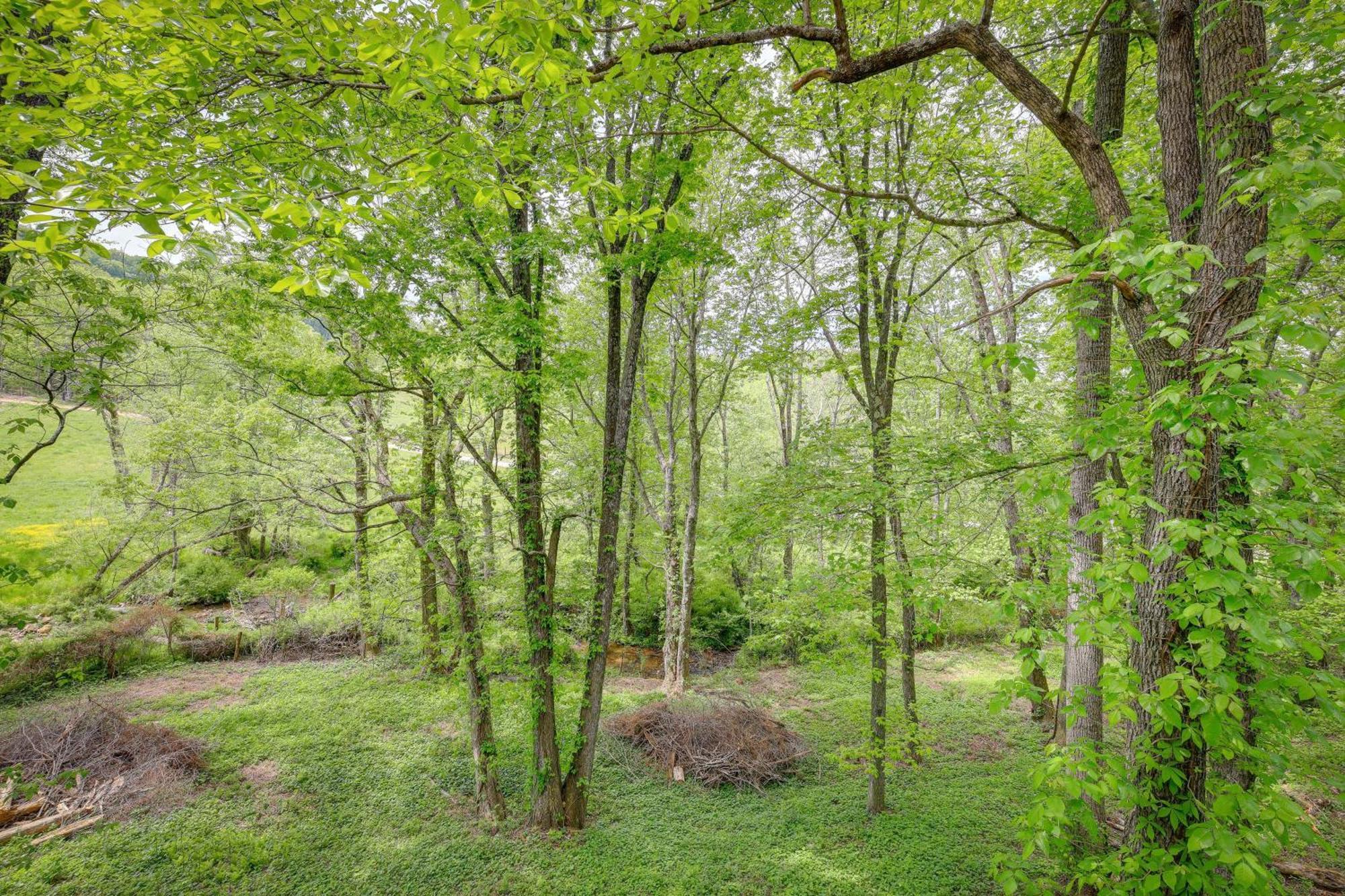 Quaint Blue Ridge Cabin Rental With On-Site Stream! Sparta Luaran gambar